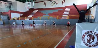 Διπλός ρόλος για Παπαδάκη