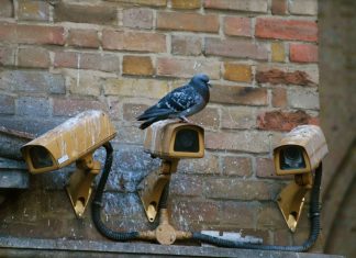 Backstage – 1st Corporate Basketball League