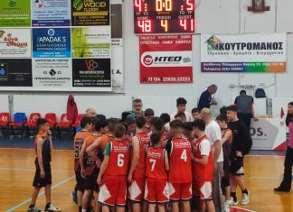 ΠΑΜΠΑΙΔΩΝ: Κάδμος-Πρωτέας Σχηματαρίου 48-41