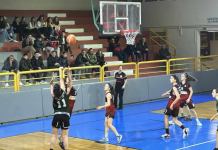 ΝΕΑΝΙΔΩΝ (Α’ Ημιτελικός): Κάδμος-Απόλλων Λιβαδειάς 46-52(photo album)